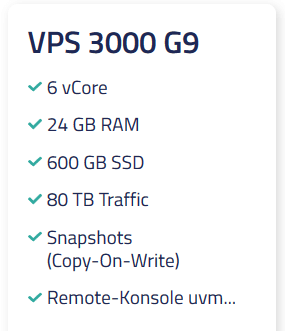 Netcup VPS 3000 G9 Netcup VPS 3000 G9