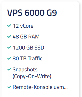 Netcup VPS 6000 G9 Netcup VPS 6000 G9