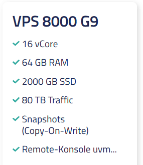 Netcup VPS 8000 G9 Netcup VPS 8000 G9
