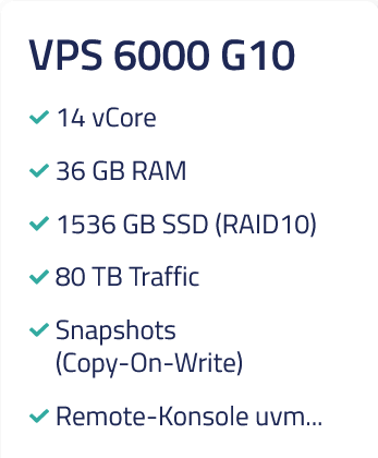 Netcup VPS 6000 G10
