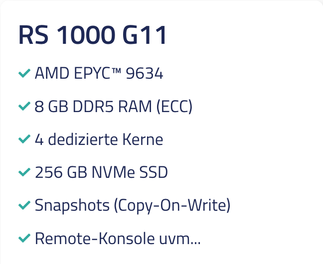 RS 1000 G11