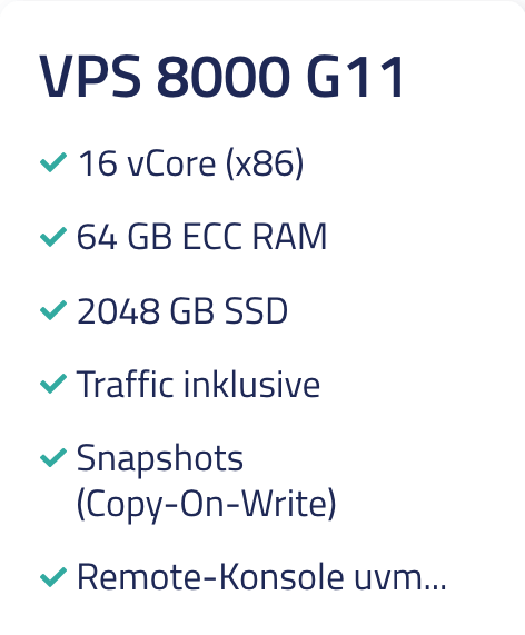 Netcup VPS 8000 G11