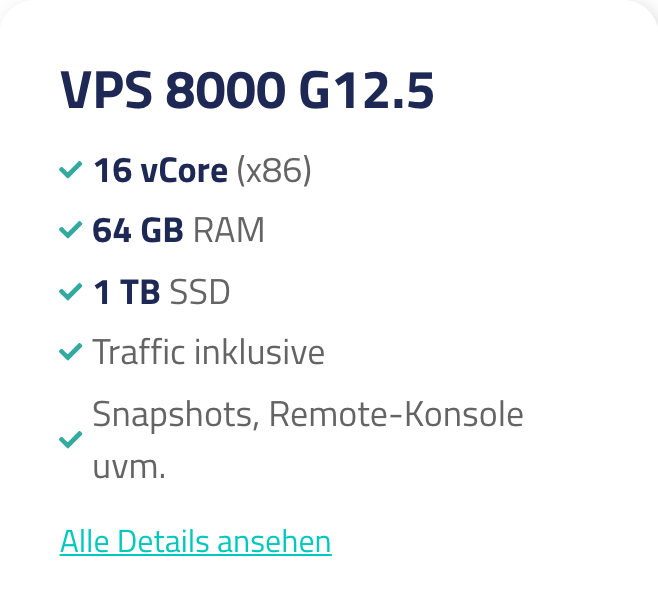 Netcup VPS 8000 G12.5